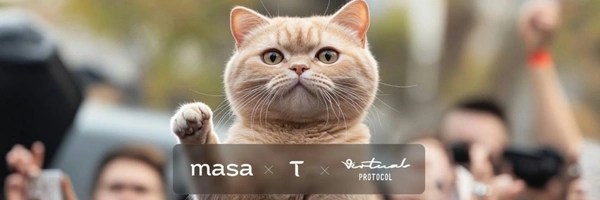 TAOCat by Virtuals Header Image