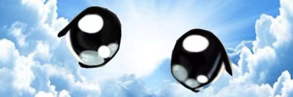 Milady Cult Coin Header Image