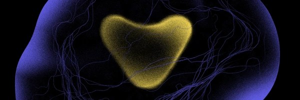 VitaDAO Token Header Image