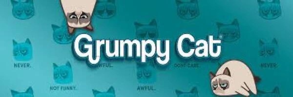 Grumpy Cat Header Image