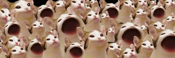Popcat Header Image
