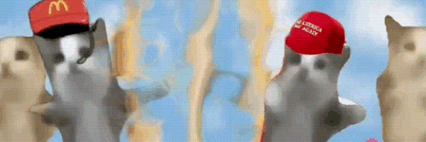 Happy Cat Header Image